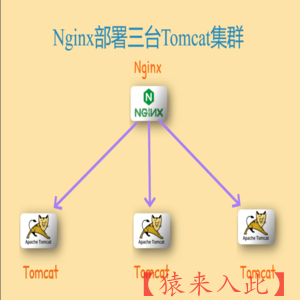 Nginx部署三台Tomcat集群教学讲解视频